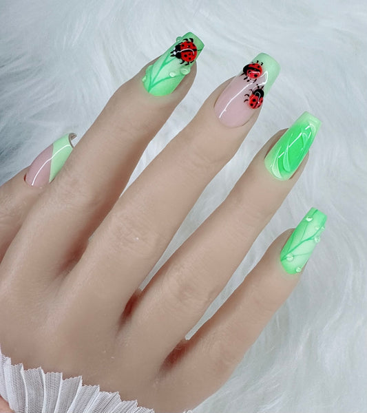 LADYBUG GARDEN